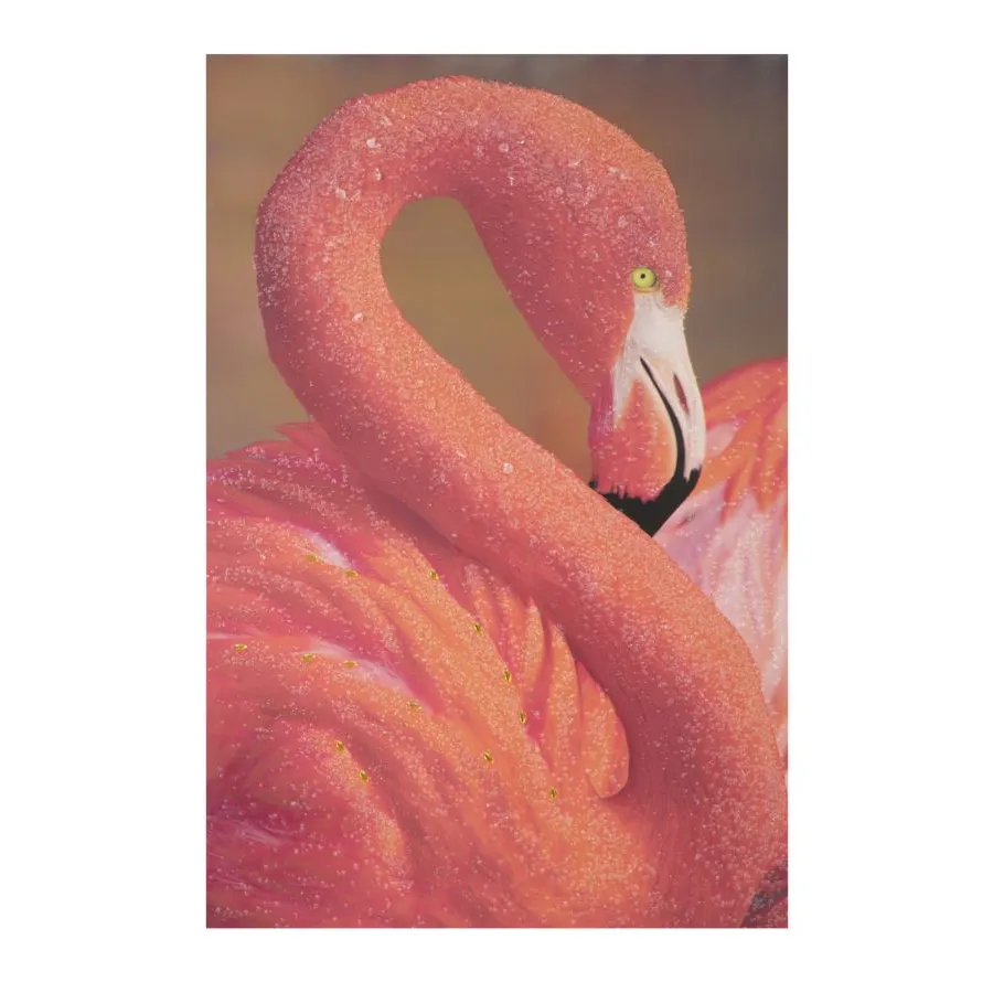 DRUK NA PŁÓTNIE Z APLIKACJAMI -A- FLAMINGO 80X3,8X120 cm